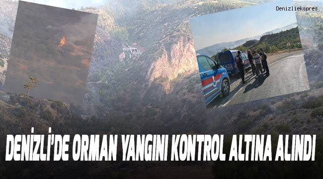 Denizli’de çıkan orman yangını kontrol altına alındı