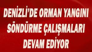 Denizli'de orman yangını