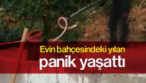 Evin bahçesindeki yılan panik yaşattı