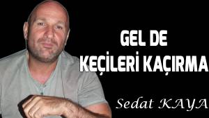 Gel de Keçileri Kaçırma