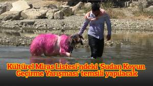 Kültürel Miras Listesi’ndeki ‘Sudan Koyun Geçirme Yarışması’ temsili yapılacak