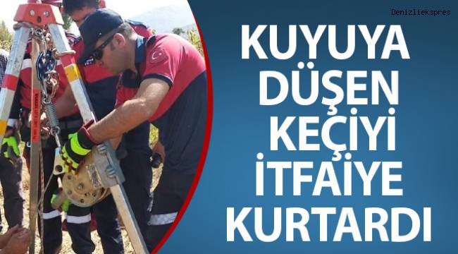 Kuyuya düşen keçiyi itfaiye kurtardı