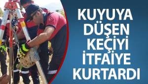 Kuyuya düşen keçiyi itfaiye kurtardı