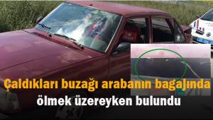 Meradan çalınan buzağı otomobilin bagajından çıktı