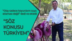“Olay sadece koyunların suya atlaması değil”