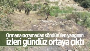 Ormana sıçramadan söndürülen yangının izleri gündüz ortaya çıktı