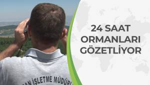 Ormanları korumak için 9 yıldır nöbetleşe uyuyorlar