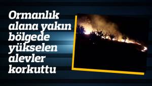 Ormanlık alana yakın bölgede yükselen alevler korkuttu