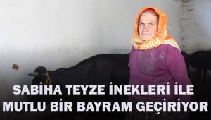 Sabiha Teyze inekleri ile mutlu bir bayram geçiriyor