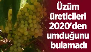 Üzüm üreticileri 2020'den umduğunu bulamadı