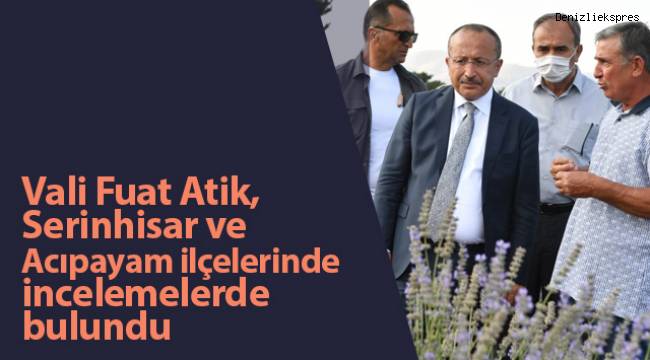 Vali Fuat Atik, Serinhisar ve Acıpayam ilçelerinde incelemelerde bulundu