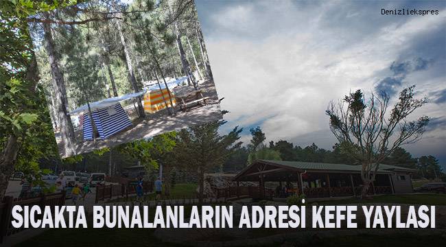 Yayla turizmi Büyükşehir yatırımlarıyla gelişiyor