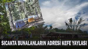 Yayla turizmi Büyükşehir yatırımlarıyla gelişiyor