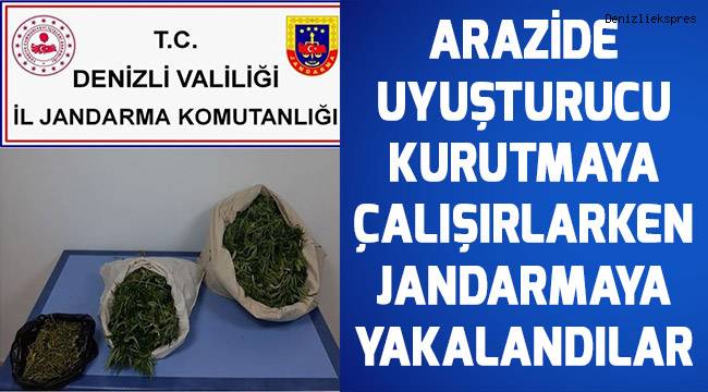 Arazide uyuşturucu kurutmaya çalışırken jandarmaya yakalandılar