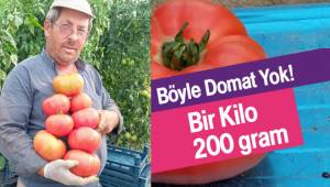 Böyle Domat Yok!