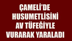 Çameli'de tartışma kanlı bitti