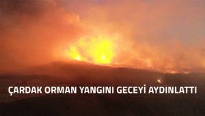 Çardak orman yangını geceyi aydınlattı