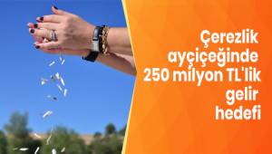 Çerezlik ayçiçeğinde 250 milyon TL'lik gelir hedefi