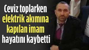 Ceviz toplarken elektrik akımına kapılan imam hayatını kaybetti