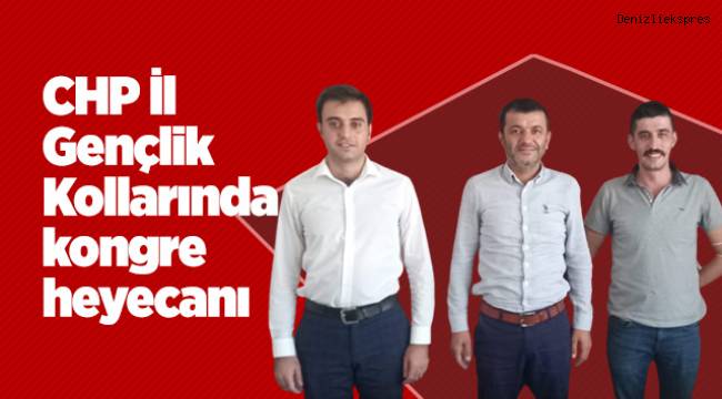 CHP İl Gençlik Kollarında kongre heyecanı