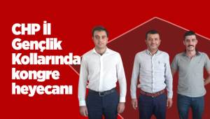CHP İl Gençlik Kollarında kongre heyecanı