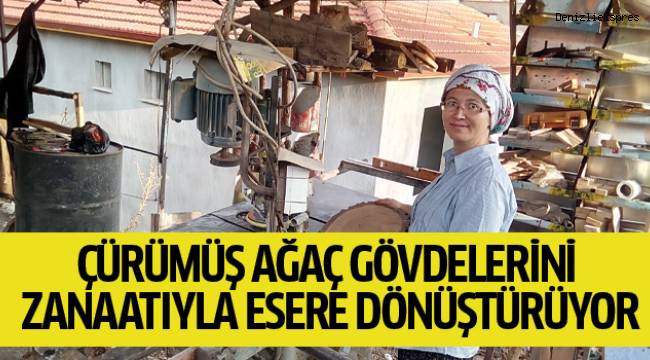 Çürümüş ağaçları sanata dönüştürüyor