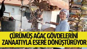 Çürümüş ağaçları sanata dönüştürüyor