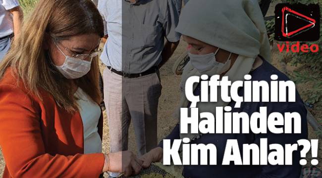 DAMDAN DÜŞENİN HALİNDEN KİM ANLAR?