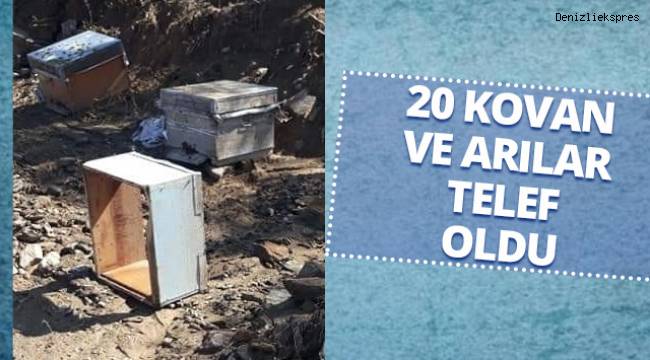 Denizli'de etkili olan sağanak arıcılık yapan vatandaşı mağdur etti