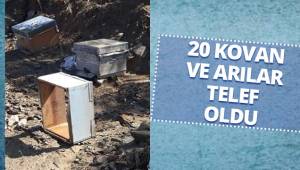 Denizli'de etkili olan sağanak arıcılık yapan vatandaşı mağdur etti