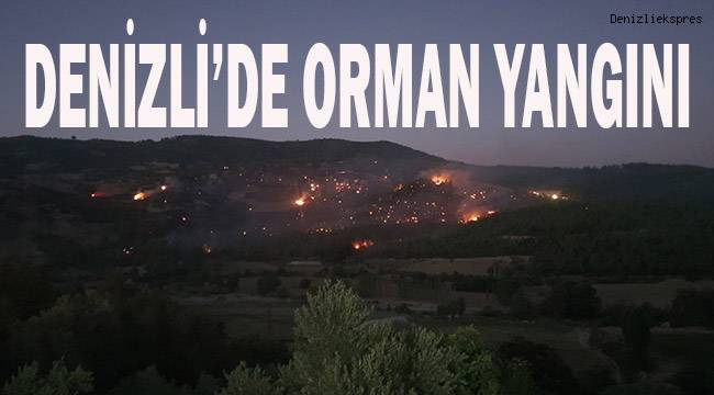 Denizli'de orman yangını