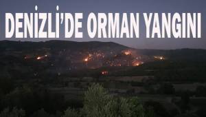 Denizli'de orman yangını