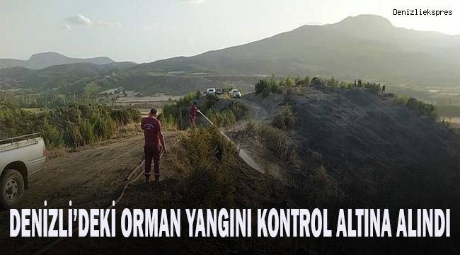 Denizli’deki orman yangını kontrol altına alındı