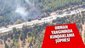 Denizli’deki orman yangınında kundaklama şüphesi