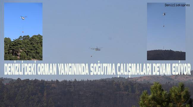 Denizli'deki orman yangınında soğutma çalışmaları sürüyor
