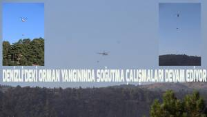 Denizli'deki orman yangınında soğutma çalışmaları sürüyor