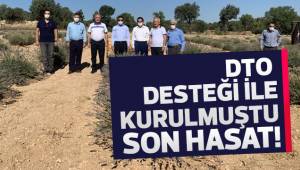 DTO'nun desteğiyle kurulan lavanta bahçelerinde son hasat yapıldu