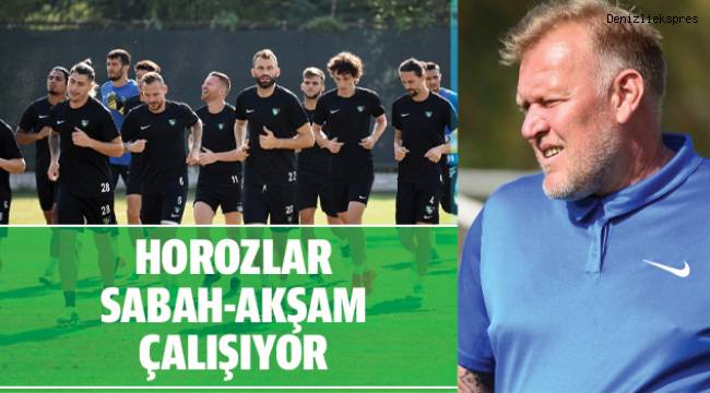 Horozlar Sabah Akşam Çalışıyor