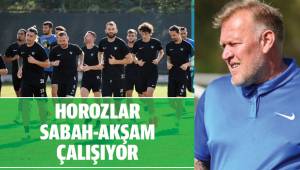 Horozlar Sabah Akşam Çalışıyor