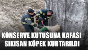 Konserve kutusuna kafası sıkışan köpek kurtarıldı
