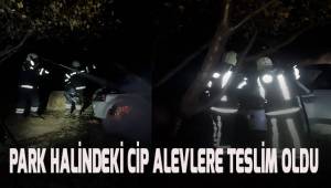 Lüks cip bir anda alevlere teslim oldu