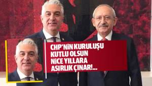 Nice 97. yıllara ASIRLIK ÇINAR