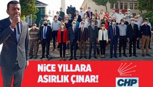 Nice Yıllara Asırlık Çınar!