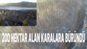 Orman yangını sonrası ortalık savaş alanlarını andırdı