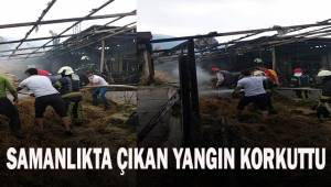 Samanlıkta çıkan yangın korkuttu!