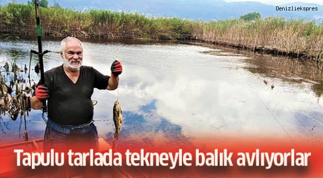 Tapulu tarlada tekneyle balık avlıyorlar