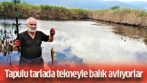 Tapulu tarlada tekneyle balık avlıyorlar