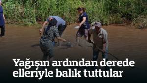 Yağışın ardından derede elleriyle balık tuttular