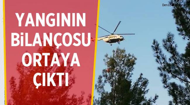 Yangının bilançosu ortaya çıktı