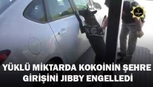 Yüklü miktarda kokainin kente girişini Jibby engelledi